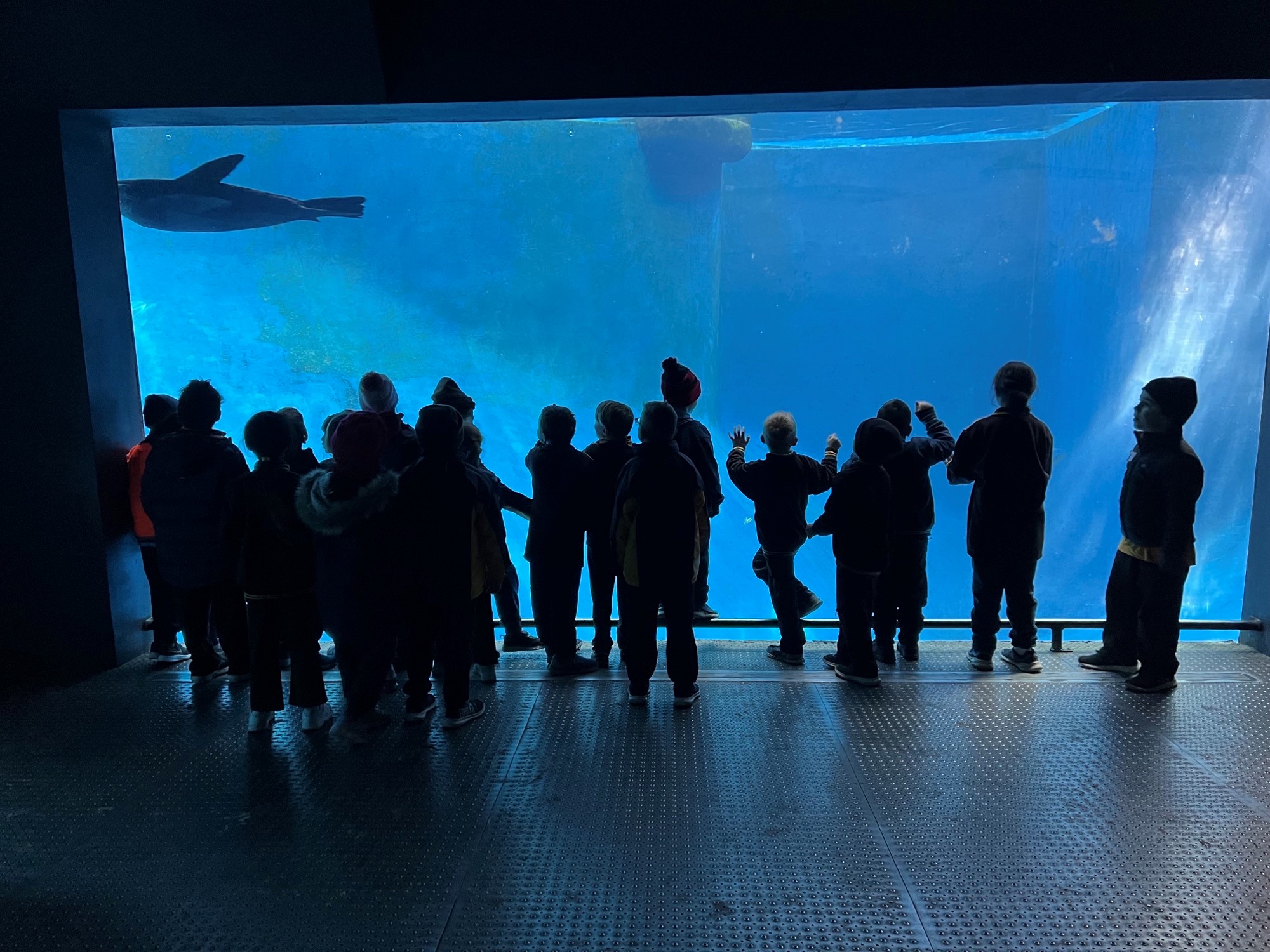 /uploaded_files/media/gallery/1659494484zoo 11.jpg